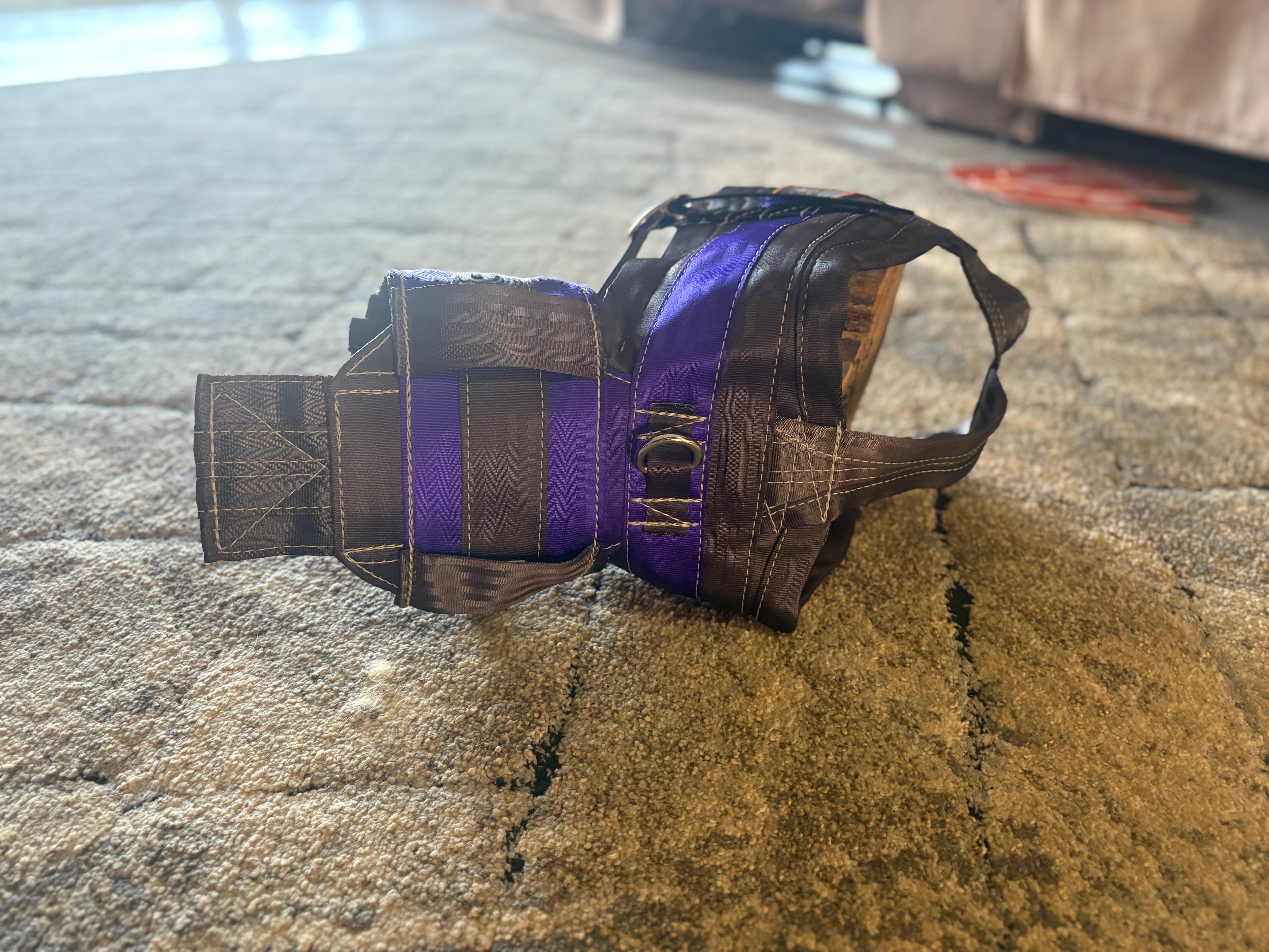 Full chest plate