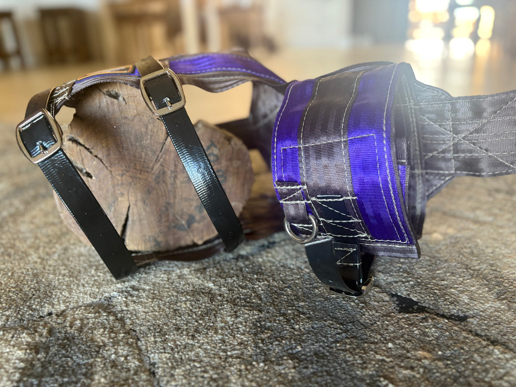 Full chest plate